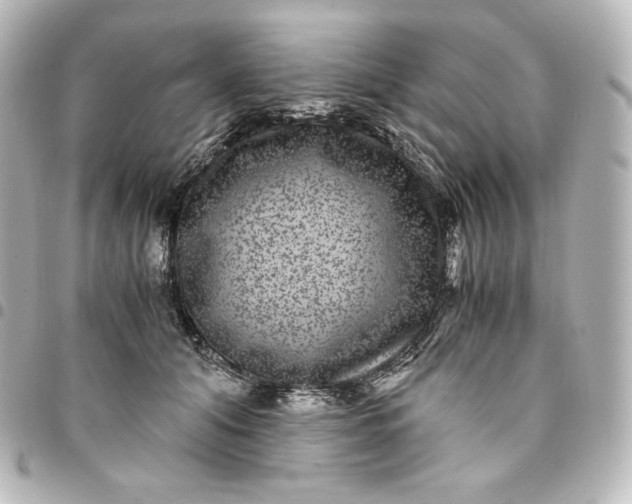 X0000095540608200712281546