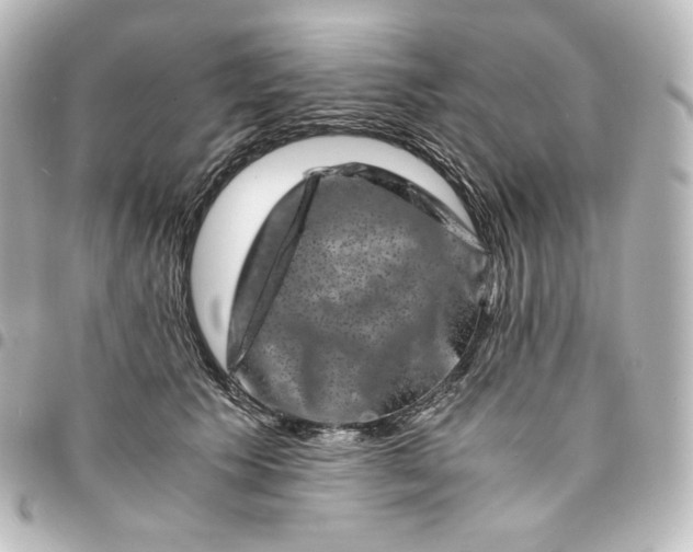 X0000095540609200712281546