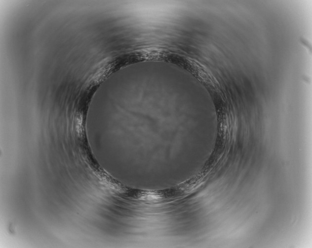 X0000095540610200712281546