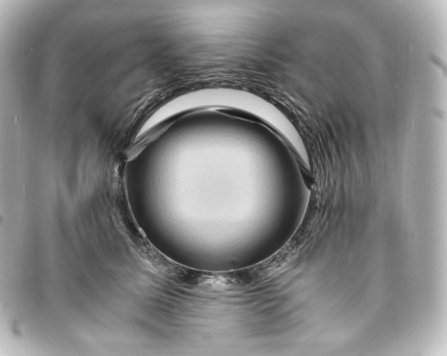 X0000095540611200712281546