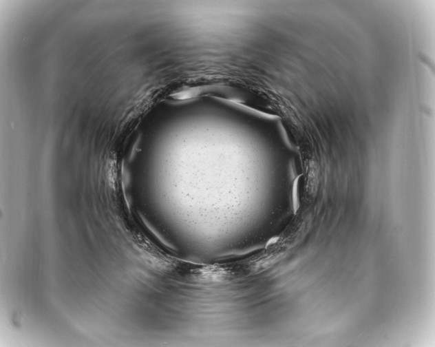 X0000095540612200712281546