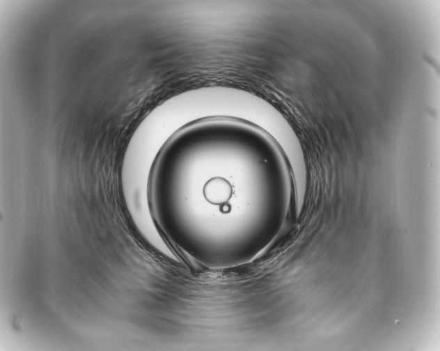 X0000095540613200712281546