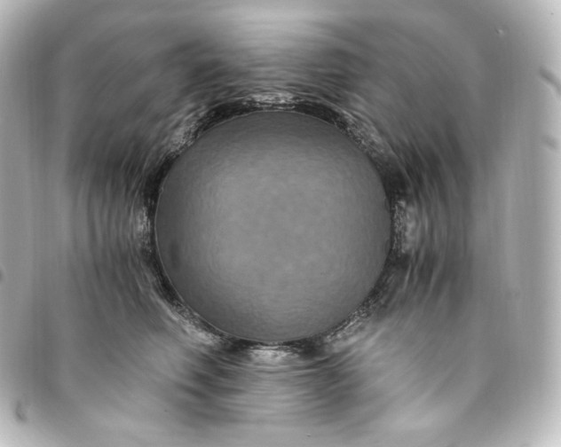 X0000095540614200712281546