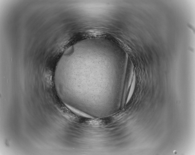 X0000095540615200712281546