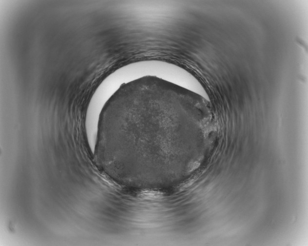 X0000095540617200712281546