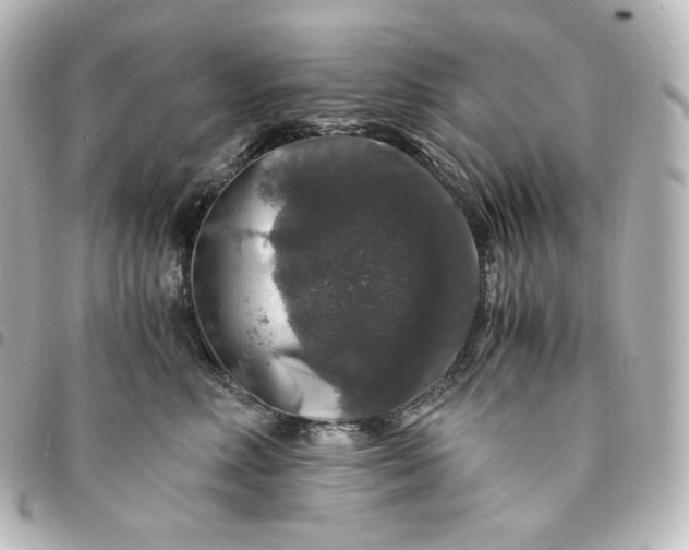 X0000095540618200712281546