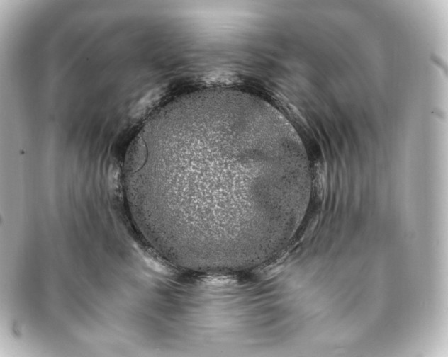 X0000095540619200712281546