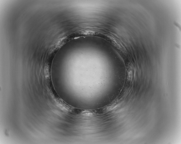 X0000095540620200712281546