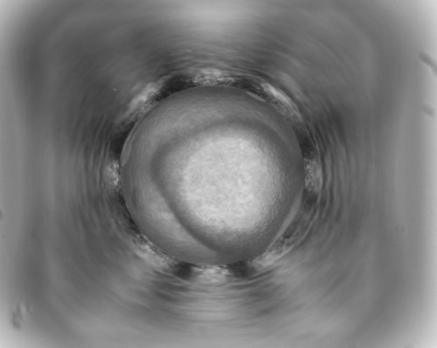 X0000095540621200712281546