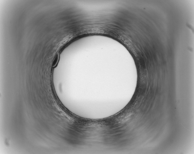 X0000095540625200712281544