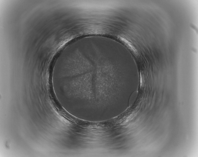 X0000095540627200712281545