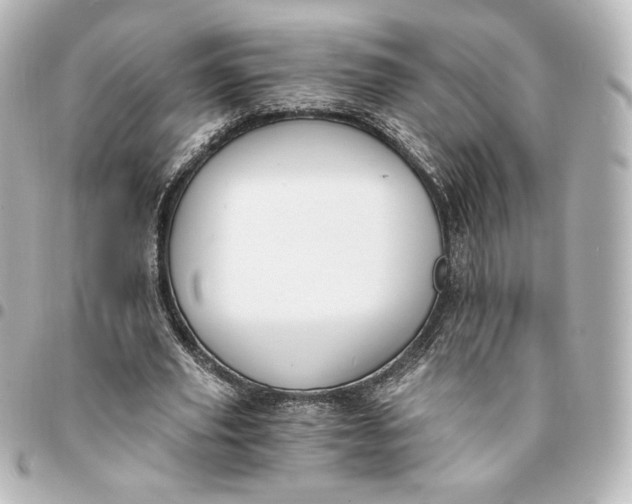 X0000095540629200712281545