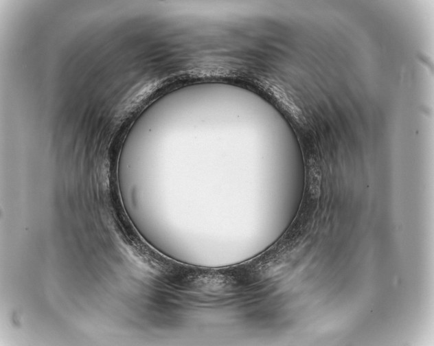 X0000095540631200712281545