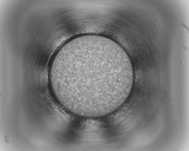 X0000095540632200712281545