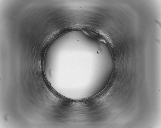 X0000095540633200712281545