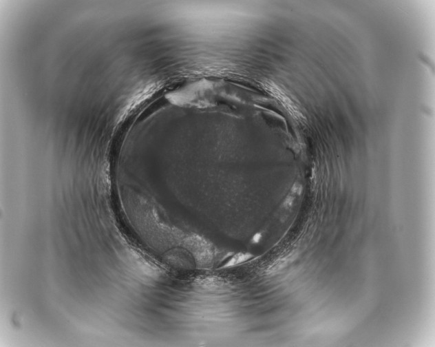 X0000095540634200712281545