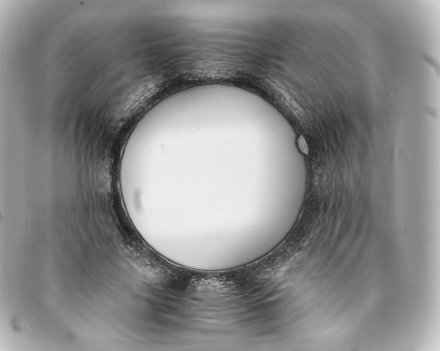 X0000095540635200712281545