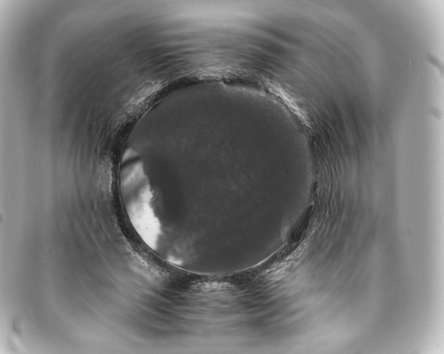 X0000095540637200712281545