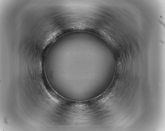 X0000095540638200712281545