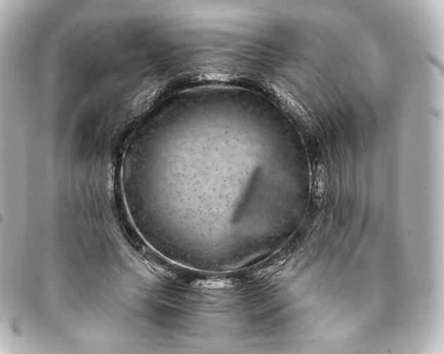 X0000095540639200712281545