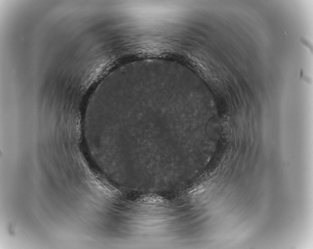 X0000095540642200712281545