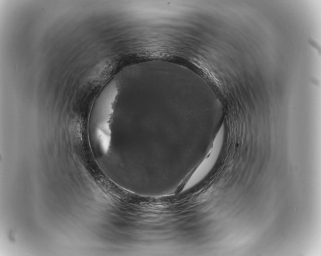 X0000095540643200712281545