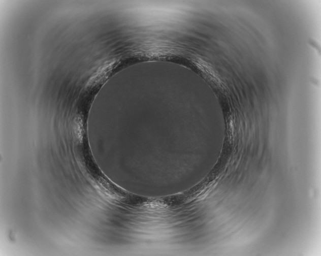 X0000095540644200712281545