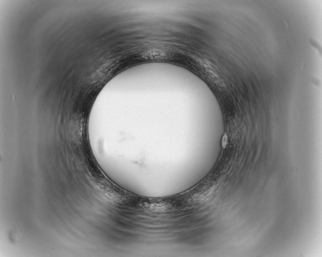 X0000095540645200712281545