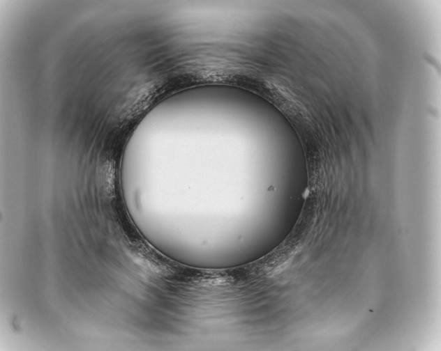 X0000095540646200712281545