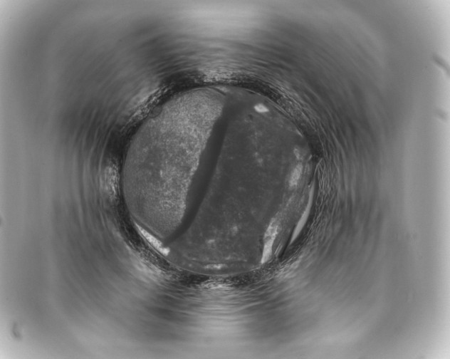 X0000095540648200712281545