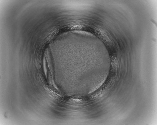 X0000095540649200712281545