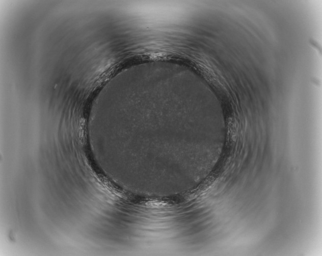 X0000095540650200712281545