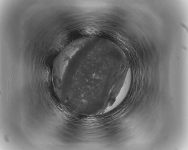 X0000095540651200712281545