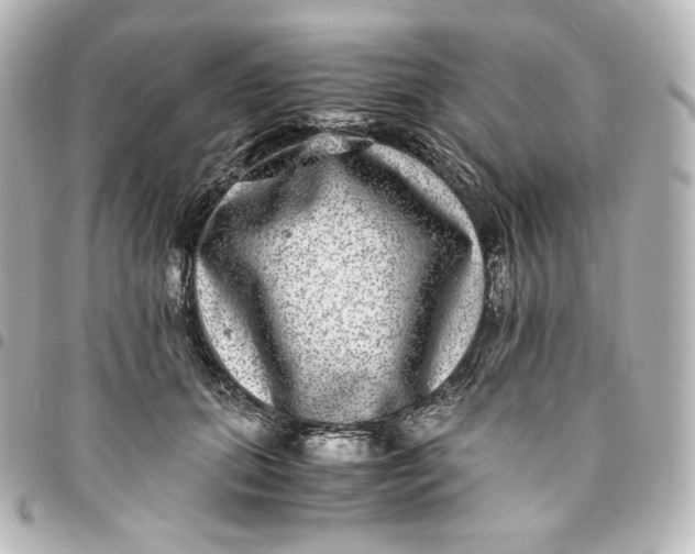 X0000095540655200712281545