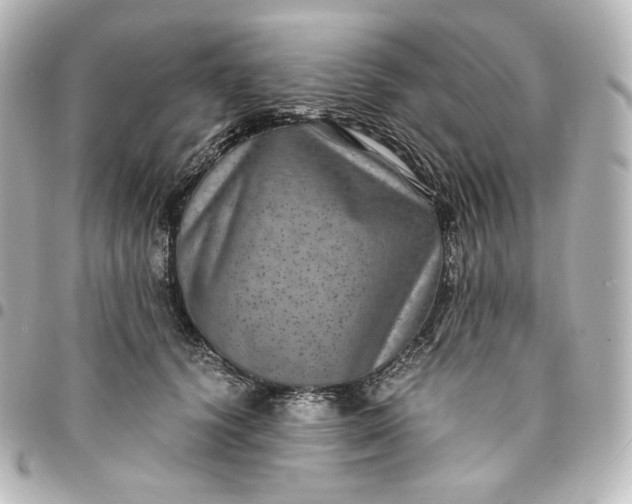 X0000095540656200712281545