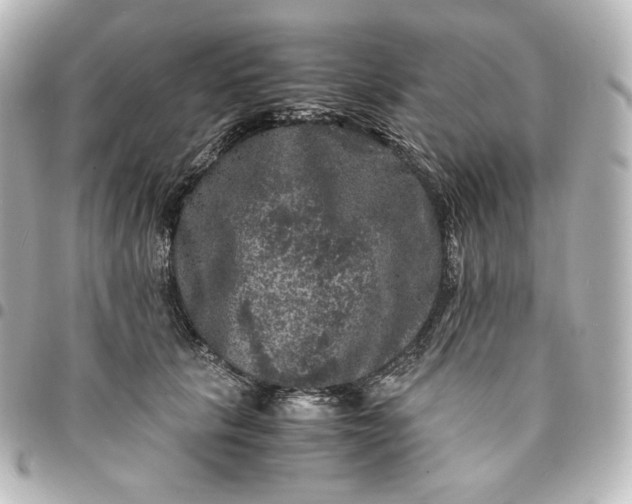 X0000095540657200712281545