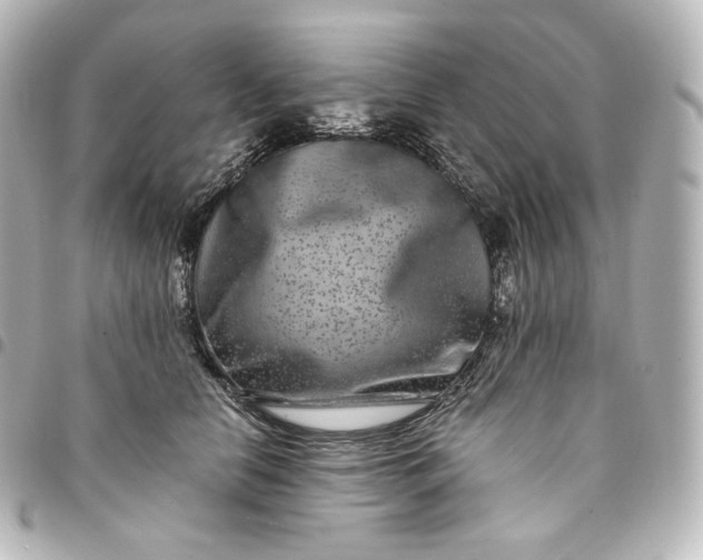 X0000095540658200712281545