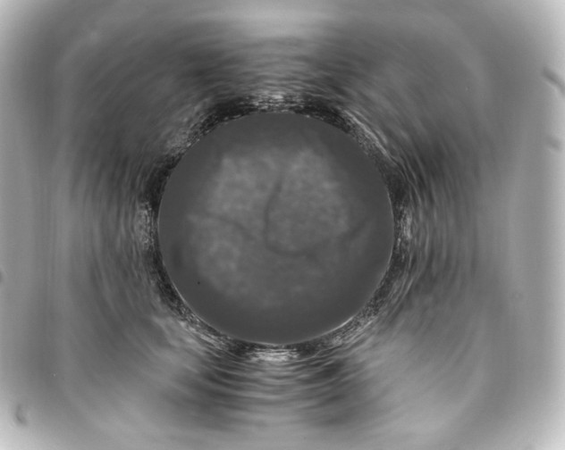 X0000095540659200712281545