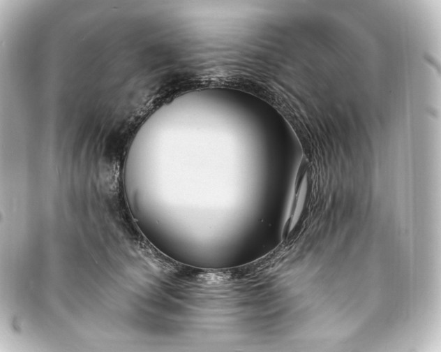 X0000095540660200712281545