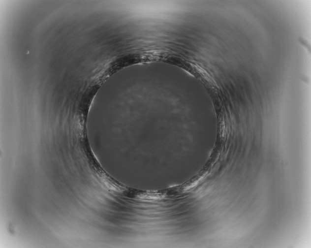 X0000095540661200712281545