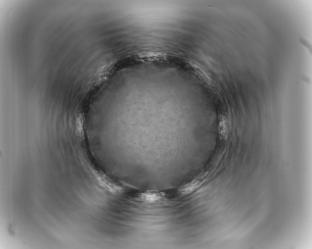 X0000095540662200712281545