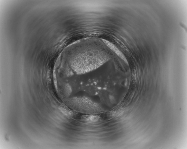 X0000095540663200712281545