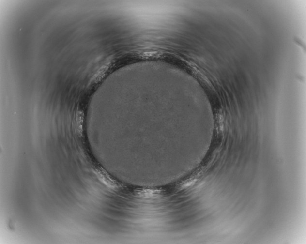 X0000095540664200712281545