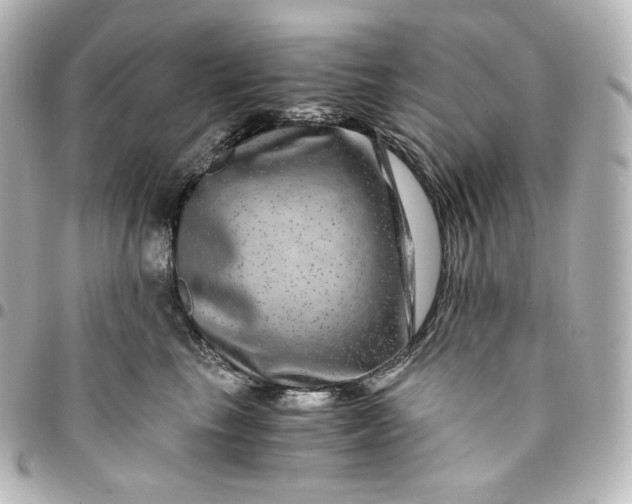 X0000095540665200712281545