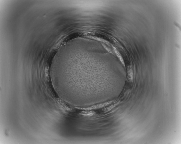 X0000095540667200712281545