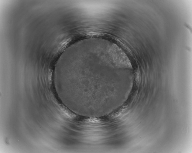 X0000095540668200712281545