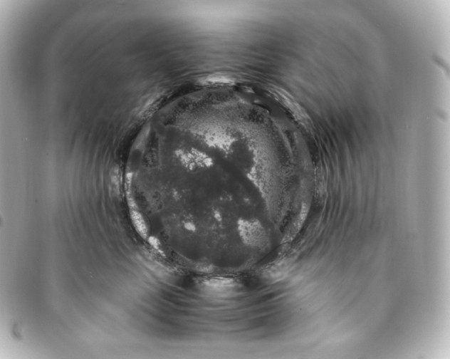 X0000095540669200712281545