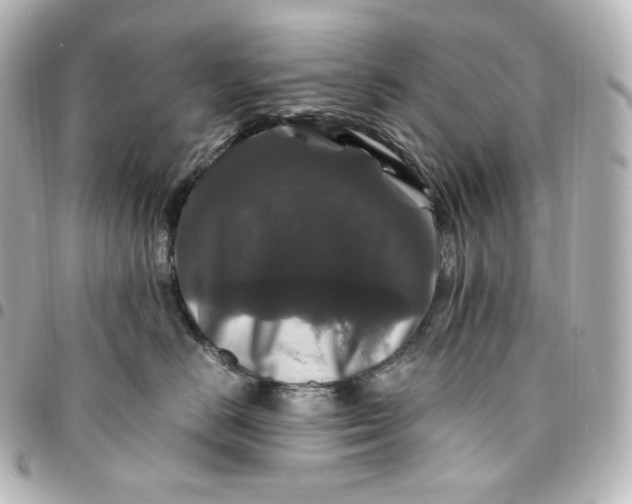 X0000095540670200712281545