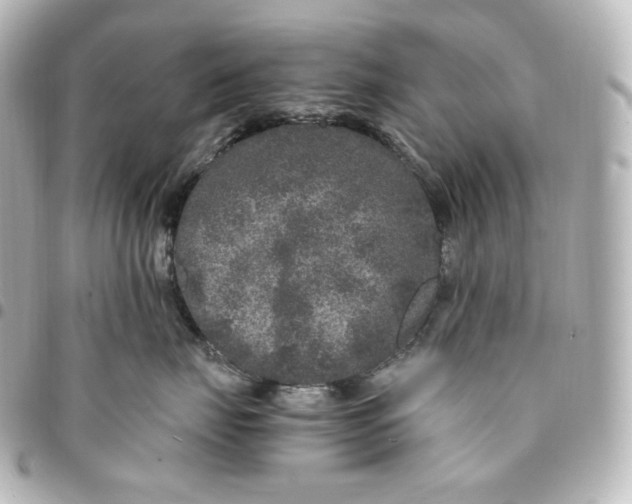 X0000095540671200712281545