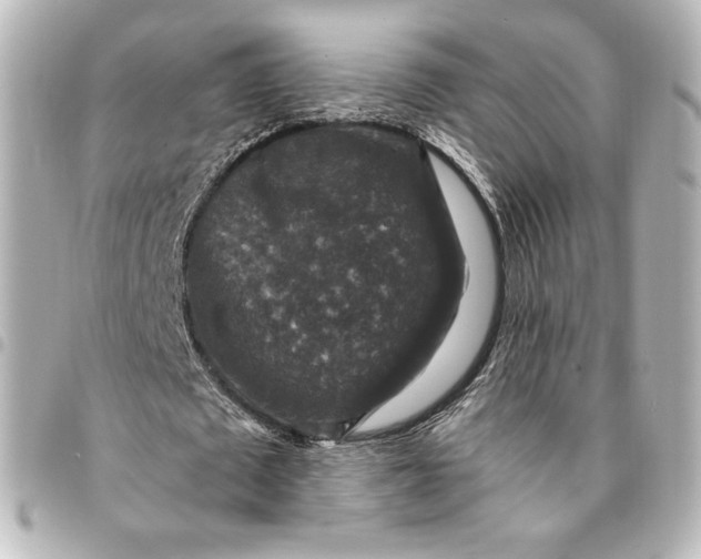 X0000095540673200712281544